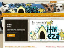 Tablet Screenshot of nitinneza.com